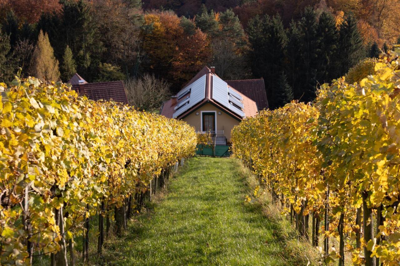 Weinberghaus am Burgstallkogel Leibnitz Exterior foto